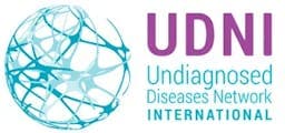 https://www.udninternational.org/